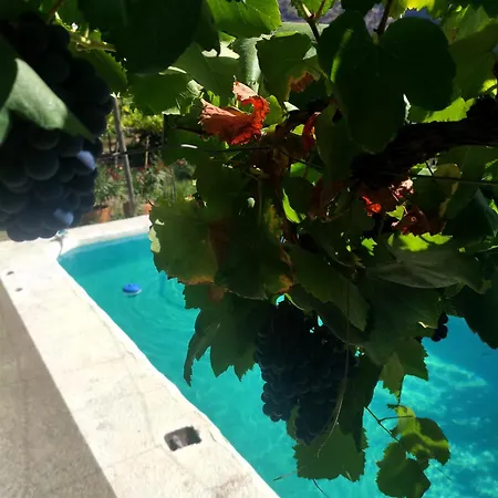 Frühstückspension 4 Personas, 2 Y Terraza Sombreada - El Cortijo Escondido, La Uva *