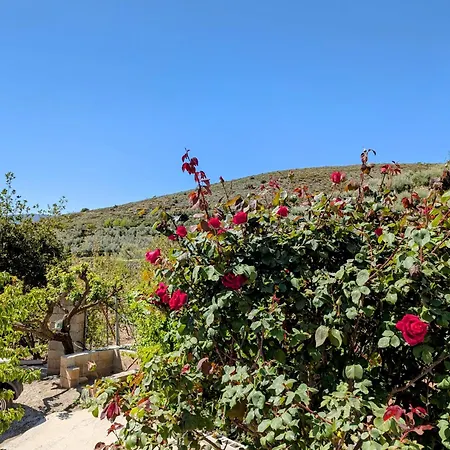 Bed & Breakfast 4 Personas, 2 Y Terraza Sombreada - El Cortijo Escondido, La Uva Ohanes