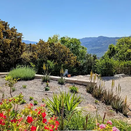 Bed & Breakfast 4 Personas, 2 Y Terraza Sombreada - El Cortijo Escondido, La Uva *